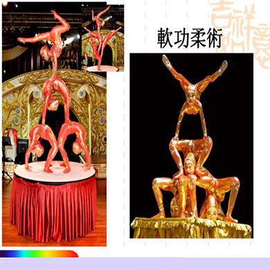 軟功柔術(shù)